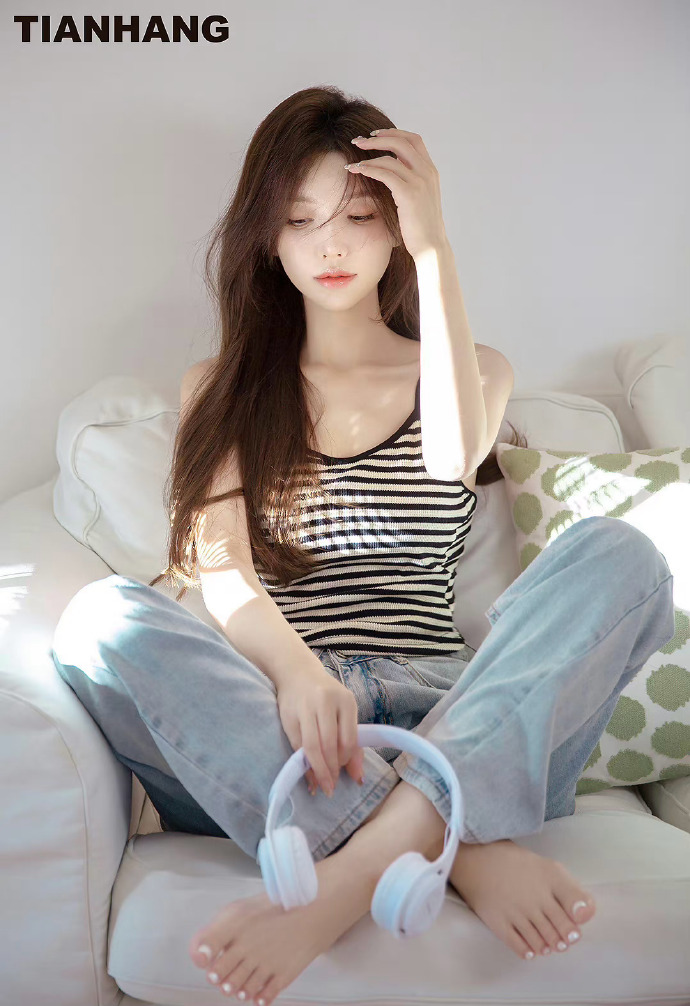 甄嬛传 封面