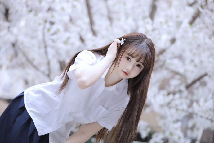 蜘蛛巢城 封面